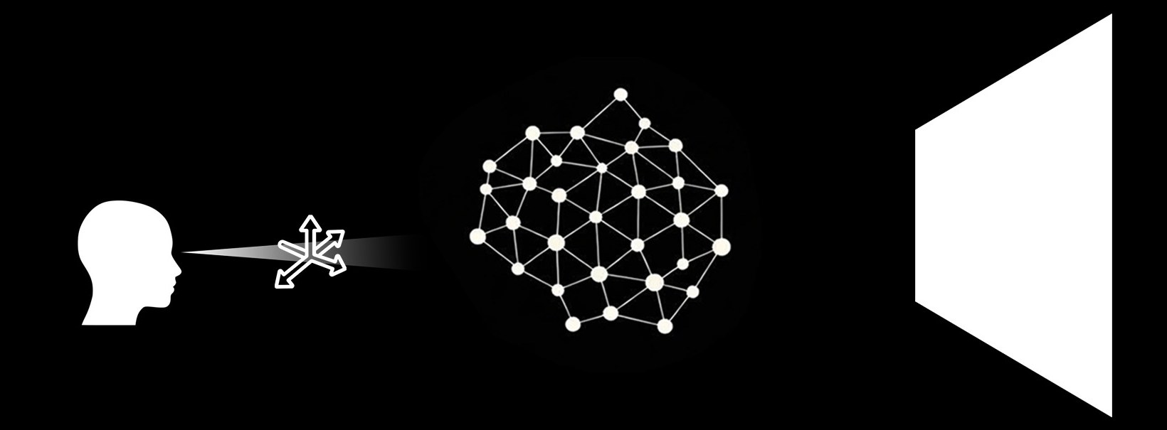 From right to left: a white plane of light labelled consciousness; a network of connected nodes labelled network of conscious agents; a human head looking at it through a beam, labelled observer